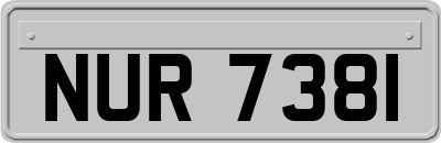 NUR7381