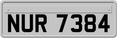 NUR7384