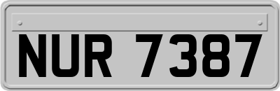 NUR7387