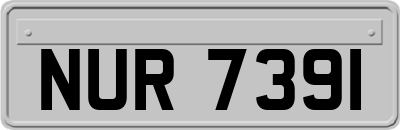 NUR7391