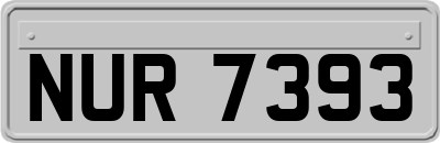 NUR7393