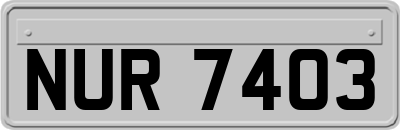 NUR7403