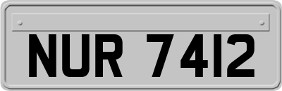 NUR7412