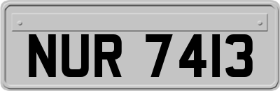 NUR7413