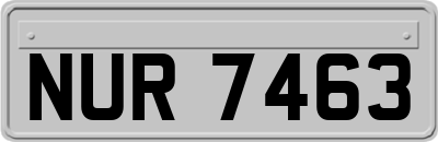 NUR7463