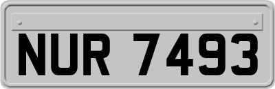 NUR7493