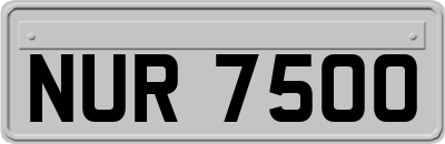NUR7500