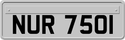NUR7501