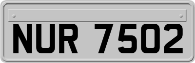 NUR7502