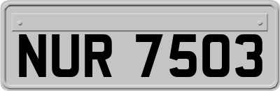 NUR7503