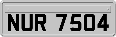 NUR7504