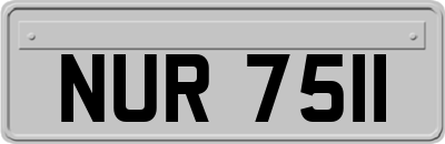 NUR7511