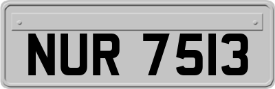 NUR7513