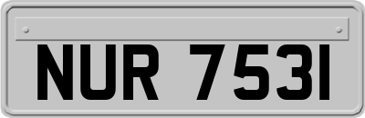 NUR7531