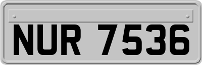 NUR7536