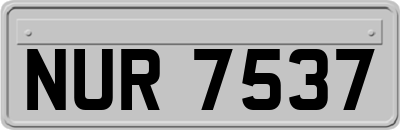 NUR7537