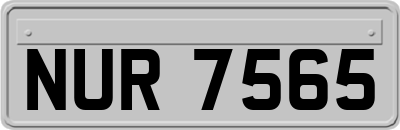 NUR7565