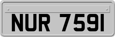 NUR7591