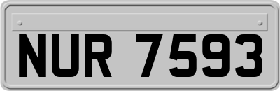 NUR7593