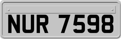 NUR7598
