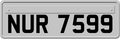NUR7599