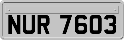 NUR7603