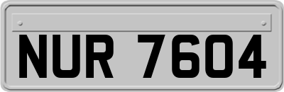 NUR7604