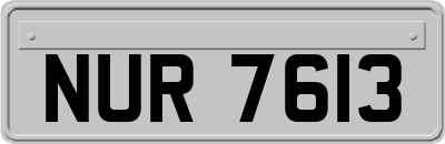 NUR7613
