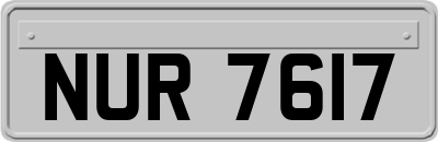 NUR7617