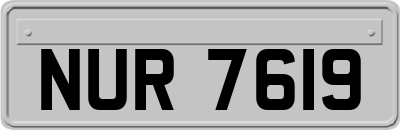 NUR7619