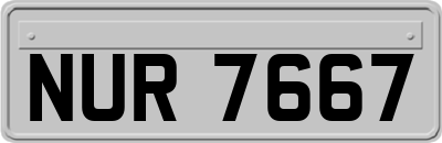 NUR7667