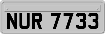 NUR7733