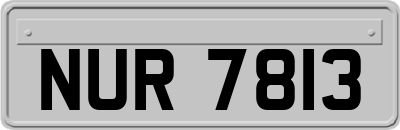 NUR7813
