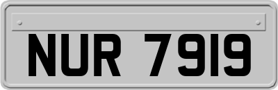 NUR7919