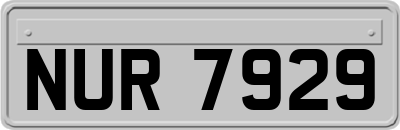NUR7929