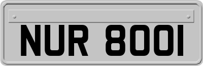 NUR8001