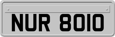 NUR8010