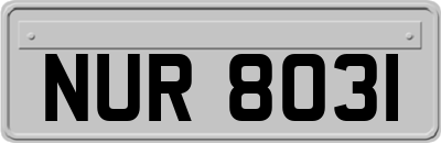 NUR8031
