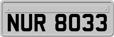 NUR8033