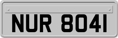 NUR8041