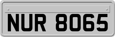 NUR8065