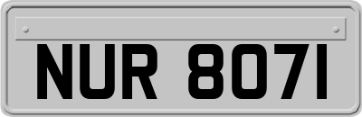 NUR8071