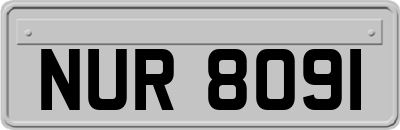 NUR8091