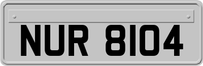 NUR8104