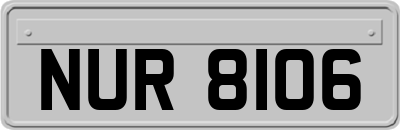 NUR8106