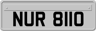 NUR8110