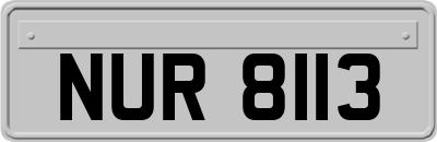 NUR8113