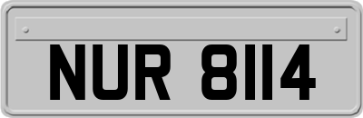 NUR8114