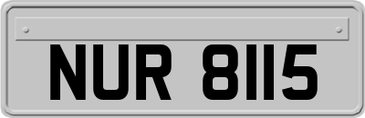 NUR8115