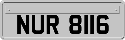 NUR8116